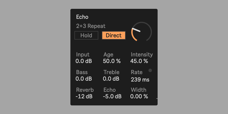 Dub Echo