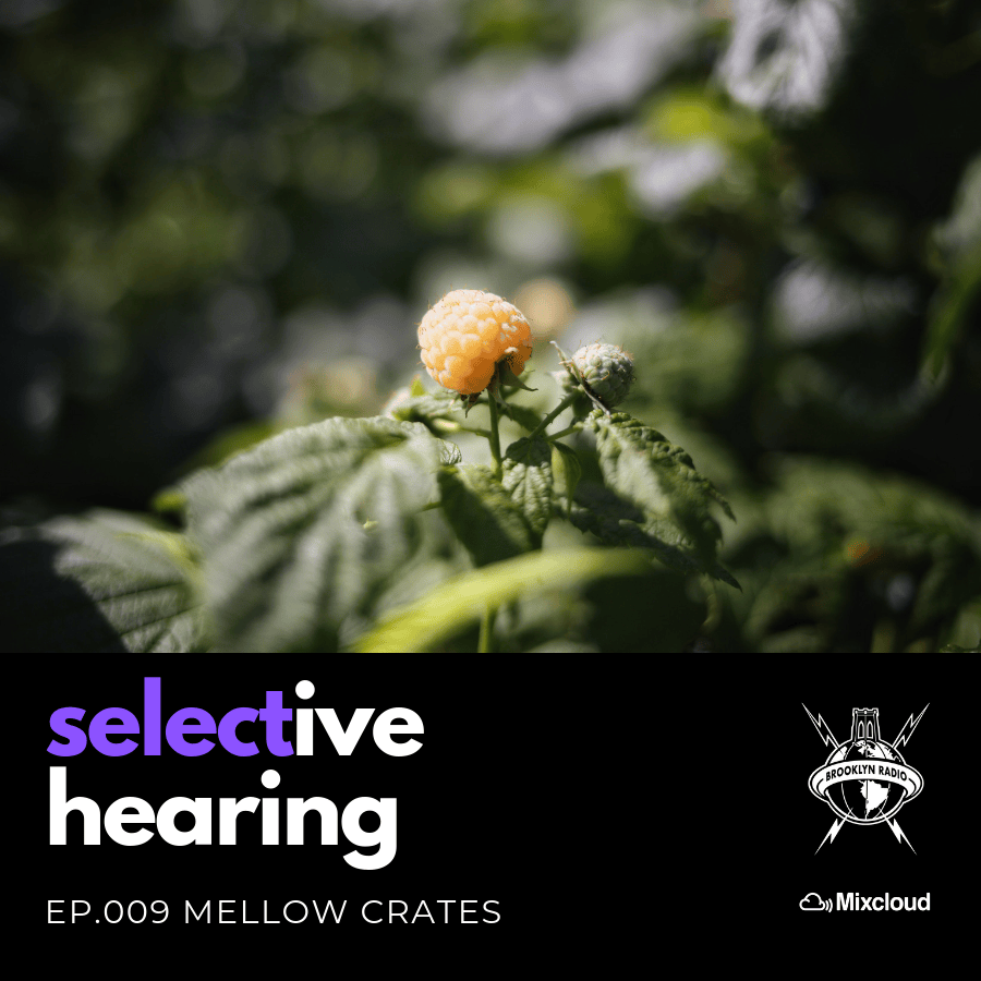 Selective Hearing 009 — Mellow Crates